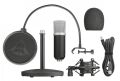TRUST 21753 GXT 252 Emita Streaming Mikrofon