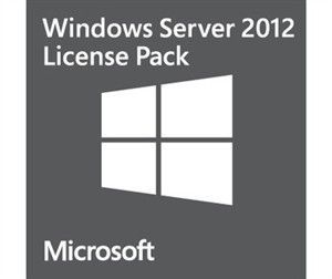 MS WS12 CAL 5USR EMEA LIC;