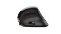 TRUST 23731 VOXX ERGONOMIC RECHARGEABLE MOUSE