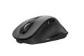 TRUST 23804 FYDA RCHRGABLE WRL MOUSE