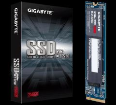 GIGABYTE GP-GSM2NE3256GNTD SSD 256GB M.2 NVMe 1.3 1700-1100 MBS