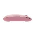 A4 TECH FG20-PINK A4 TECH FG20 PEMBE NANO KABLOSUZ OPTİK 2000 DPI MOUSE