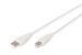 Digitus AK-300105-050-E USB2.0 Yazıcı Kablosu (5m)