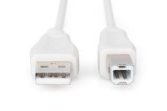 Digitus AK-300105-050-E USB2.0 Yazıcı Kablosu (5m)