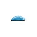 ZOWIE EC2-B-DIVINA-BLUE Kablolu Optik 3200DPI Mavi Mouse