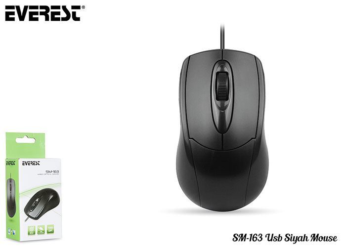 EVEREST Usb Siyah Mouse SM-163