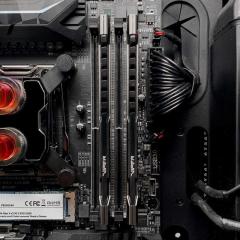 PATRIOT PVB464G360C8K 64GB (32GBx2) 3600MHz DDR4 DUAL VIPER STEEL BLACK Gaming Masaüstü Ram