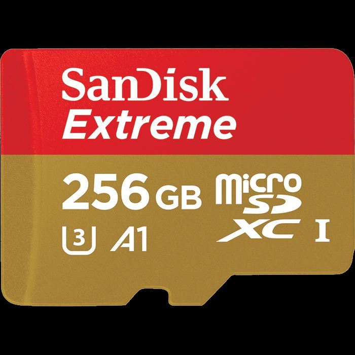 SANDISK SDSQXAO-256G-GN6MA 256 GB Extreme Pro 100 MB Class 10 Micro SD