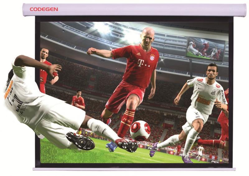 CODEGEN 200x200 Pro Siyah Fonlu Gümüş Kumaş Storlu Projeksiyon Perdesi AS-20