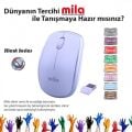 MILA Kablosuz Nano Optik 2.4GHz Beyaz,Gümüş Mouse ML400