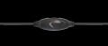 TRUST 21661 QUASAR 3.5mm Mikrofonlu Siyah Kulaklık