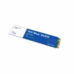 WD WDS100T3B0B SSD INT BLUE 1TB 560/520MB SATA M2