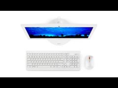 LENOVO CELERON J4005, AIO 330, 4GB, 500GB, 19.5'' Windows 10 Home F0D70044TX