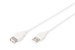 Digitus AK-300202-050-E Usb2.0 Bej Uzatma (5m)