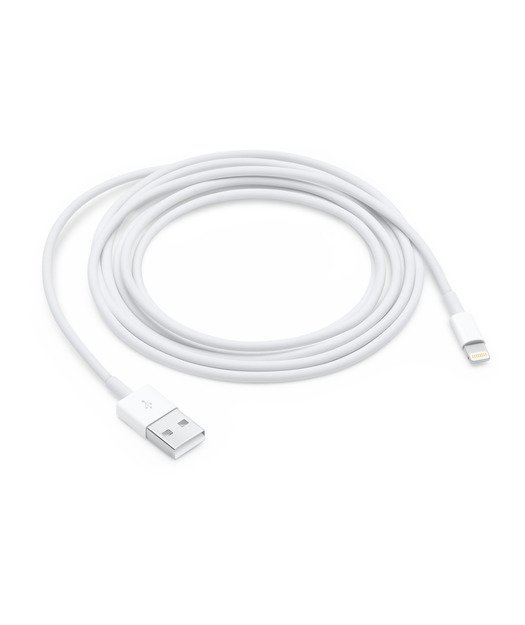 Apple Lightning USB Kablo (2m)