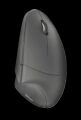 TRUST 22879 VERTO 1600DPI Kablosuz Ergonomik Siyah Mouse