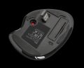 TRUST 23121 SFERIA Trackball 1600DPI İztopu Siyah Kablosuz Mouse