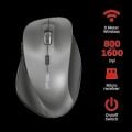 TRUST 22878 RAVAN 1600DPI Ergonomik Kablosuz Siyah Mouse