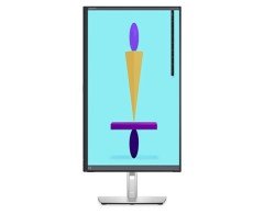 Dell P2422HE 23.8'' 5ms FHD Hdmi Type-C Pivot IPS
