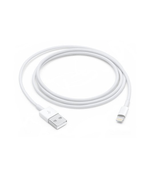 Apple Lightning USB Cable (1m)