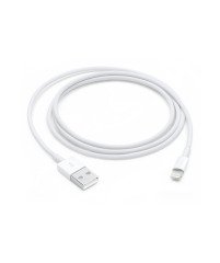 Apple Lightning USB Cable (1m)