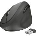 TRUST 23002 Orbo Kompakt Ergonomik Kablosuz Siyah Dikey Mouse