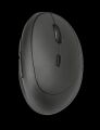 TRUST 23002 Orbo Kompakt Ergonomik Kablosuz Siyah Dikey Mouse
