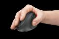 TRUST 23002 Orbo Kompakt Ergonomik Kablosuz Siyah Dikey Mouse