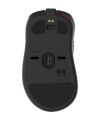 ZOWIE EC2-CW Orta boy Ergonomik 3370 Kablosuz Wriless Espor Oyuncu Mouse