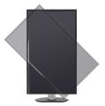 PHILIPS 328B6QJEB-00 31.5'' 2560x1440 5ms 60Hz VGA DVI DP HDMI USB IPS LCD Monitör