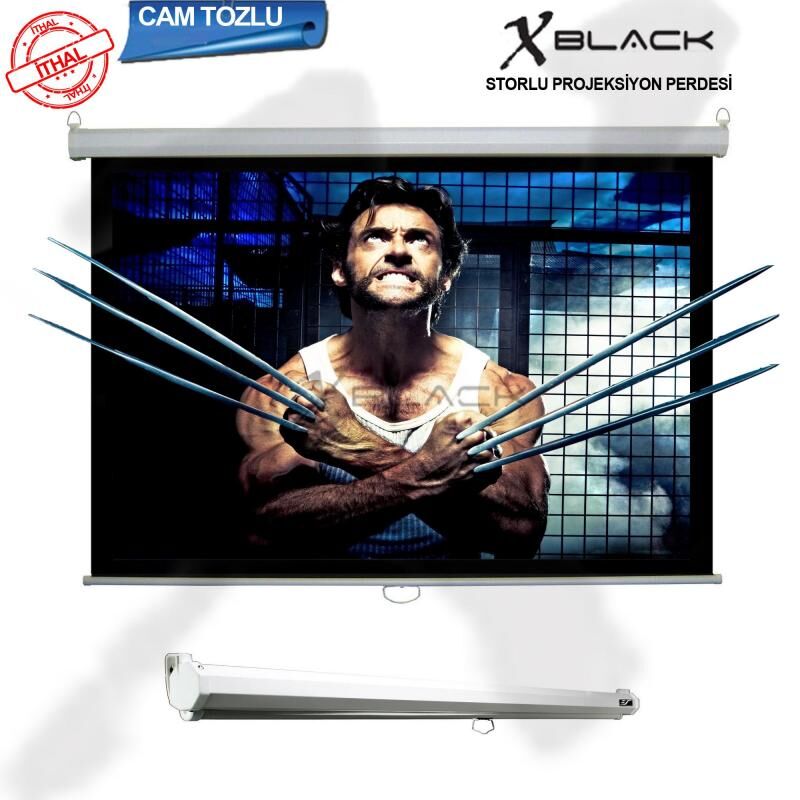 CODEGEN 240x200 Pro Siyah Fonlu Cam Tozlu Storlu Projeksiyon Perdesi XGS-240