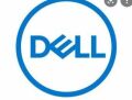 DELL 461-AAEN Trusted Platform Module 2.0, CK