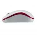 RAPOO 17300 M10 PLUS,1000DPI,Kırmızı/Beyaz Kablosuz Mouse