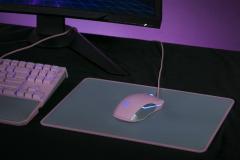 RAZER Yüksek Hız ve Hassasiyetli Gaming Mouse Pad