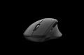 RAPOO Kablosuz Bluetooth 1600DPI Siyah Mouse 17745