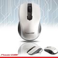 POWERGATE Kablosuz Nano 2.4GHz Gri Mouse PG-D302