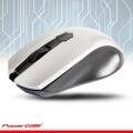 POWERGATE Kablosuz Nano 2.4GHz Gri Mouse PG-D302
