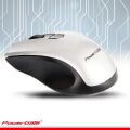 POWERGATE Kablosuz Nano 2.4GHz Gri Mouse PG-D302