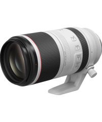 CANON LENS RF100-500MM F4.5-7.1 L IS USM