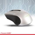POWERGATE Kablosuz Nano 2.4GHz Gri Mouse PG-D425B