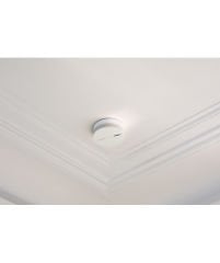 Netatmo Akıllı Duman Alarmı