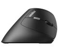 RAPOO 13531 MOU EV250 Siyah Kablosuz Ergonomik 1300DPI Mouse