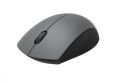 RAPOO 16974 Kablosuz Optik Gri Mouse