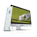 QUADRO HM6522-23412 Ci3-2310M 2.10 GHz 4GB 120GB SSD 21.5'' Free DOS AIO