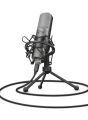 TRUST 22614 MIC GXT 242 Lance Streaming Mikrofon